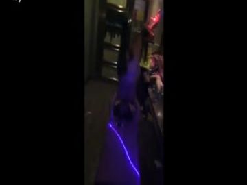 【国产】KTV包房里的那些风流事儿-各种KTV包房淫荡堕落合集