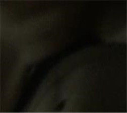 插入女友系列7 mp4