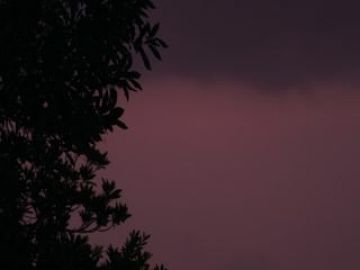 厉害漂亮优雅的气质女老师把小鲜肉囚禁起来强迫爱爱真刺激《禁忌高清字幕版》激情佳作 这样的性事愿意啊