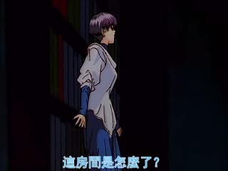 CDVL-002 圣少女 2