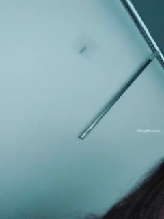 75677805_大三妹妹小美_20221002_212836