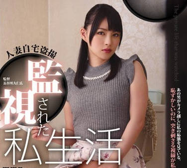 RBD-865维修工人偷偷安装摄像头趁欲求不满的人妻波木遥在家自慰时闯入强行内射